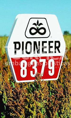 PP corrugado alveolar PP corrugado alveolar